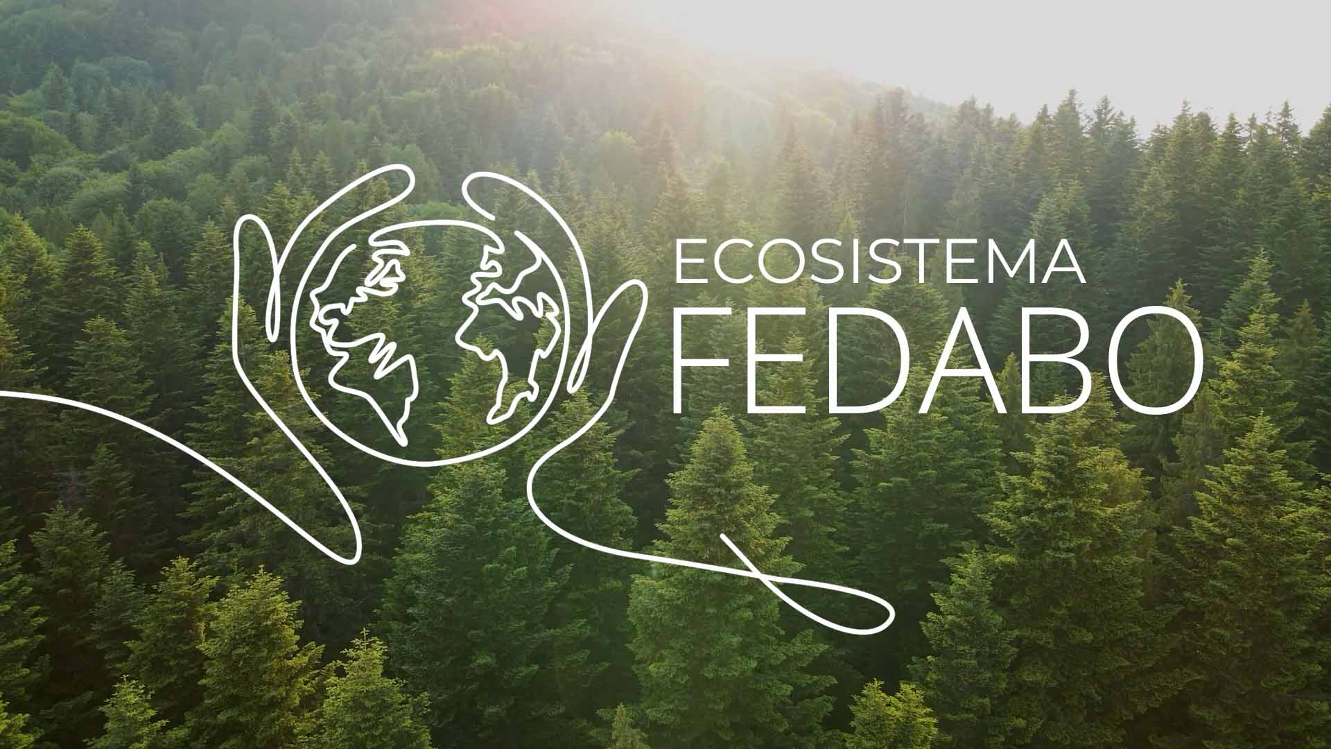Ecosistema Fedabo